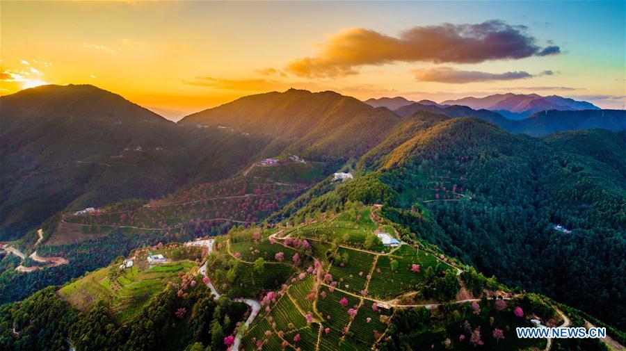 XINHUA PHOTO WEEKLY CHOICES