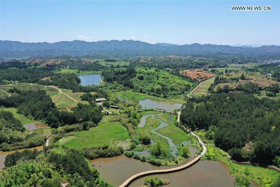 CHINA-FUJIAN-CHANGTING-WETLAND (CN)