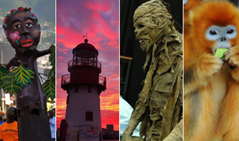 Best photos of week