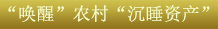 關鍵字3：&ldquo;喚醒&rdquo;農村&ldquo;沉睡資產&rdquo;