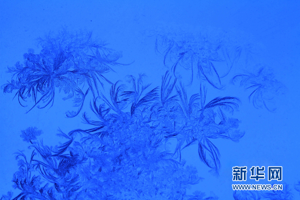 忽如一夜寒冬來，千家萬戶窗花開