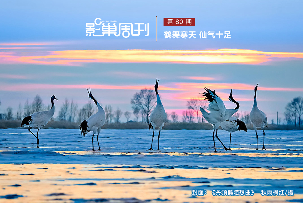 丹頂鶴隨想曲