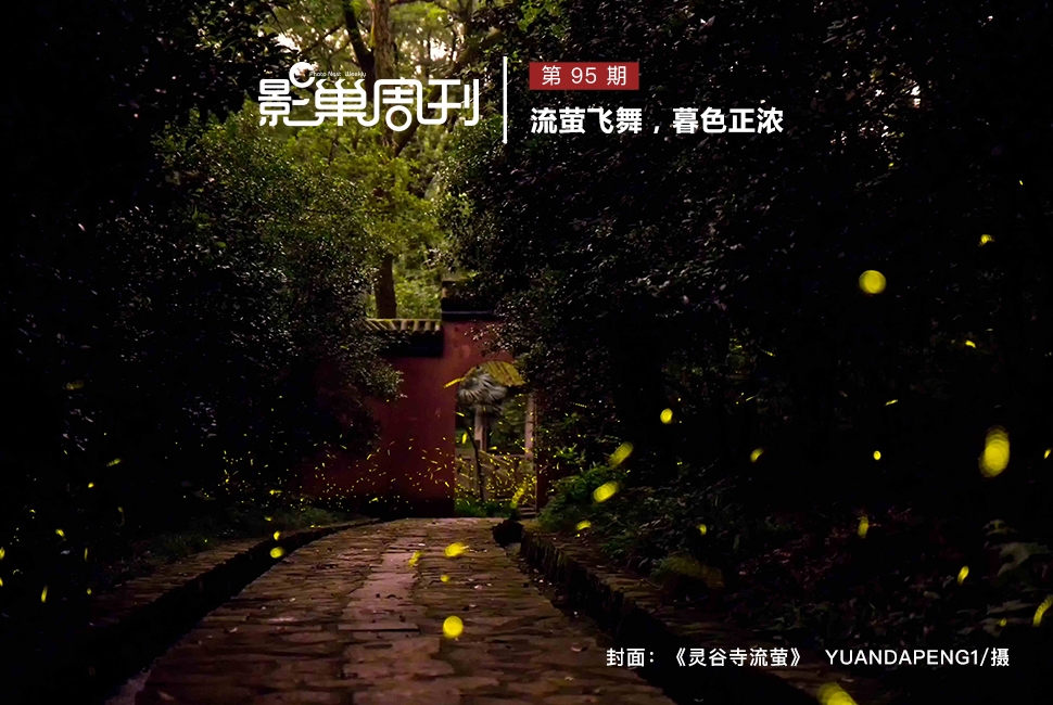靈谷寺流螢