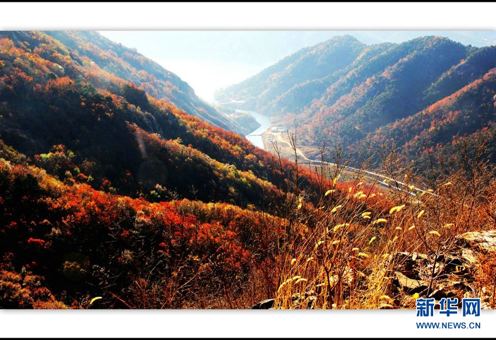 山野秋色