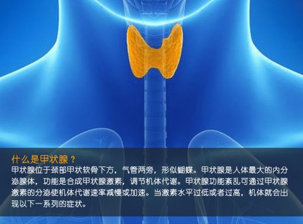關注甲狀腺健康，你應該知道的那些事