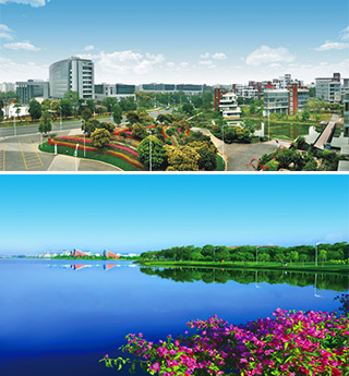 ■ 松山湖高新技術開發區