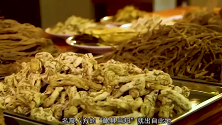 溯源中國(guó)名品推薦&middot;岷縣藥王傳