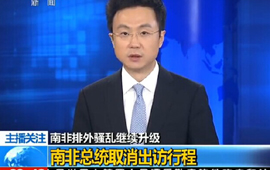 南非總統取消出訪行程