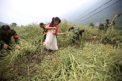 地震災區&ldquo;雙搶&rdquo;忙 軍民協力促生產
