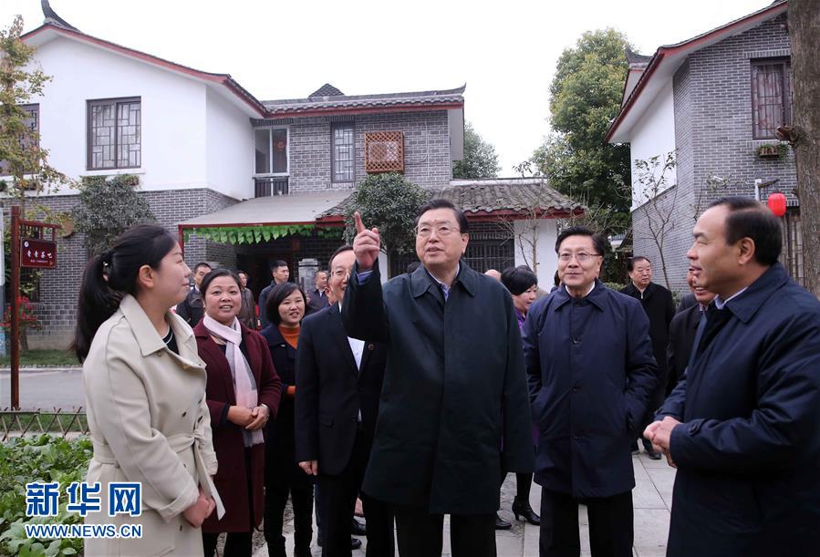 這是11月22日，張德江來到成都郫縣青杠樹村，了解村民委員會工作情況。 新華社記者 劉衛兵 攝 