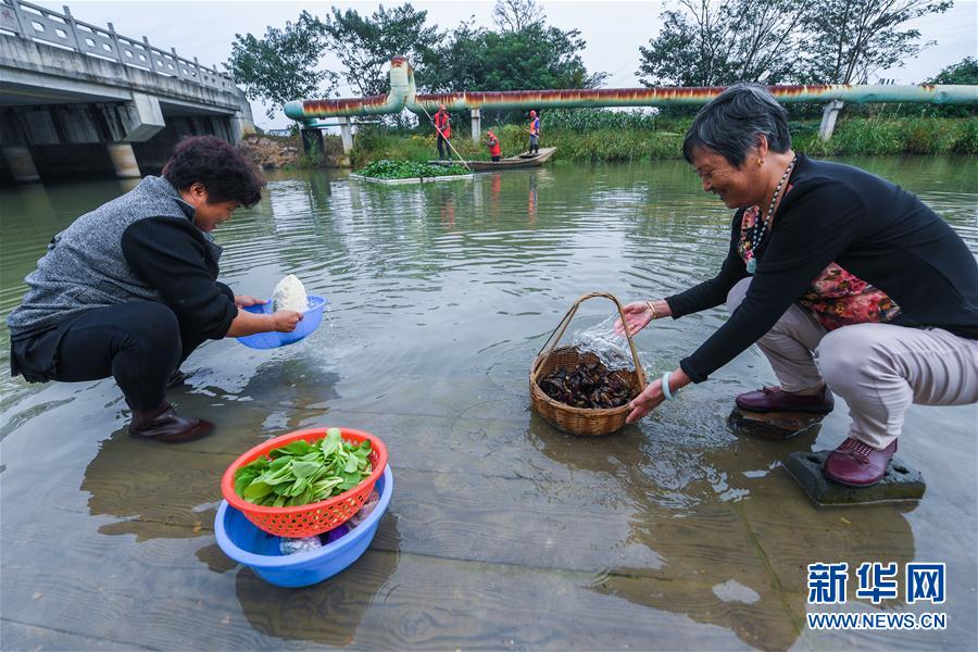 （砥礪奮進的五年&middot;長江經(jīng)濟帶）（1）江南水鄉(xiāng)&ldquo;河長制&rdquo; 共護鄉(xiāng)村一池清水