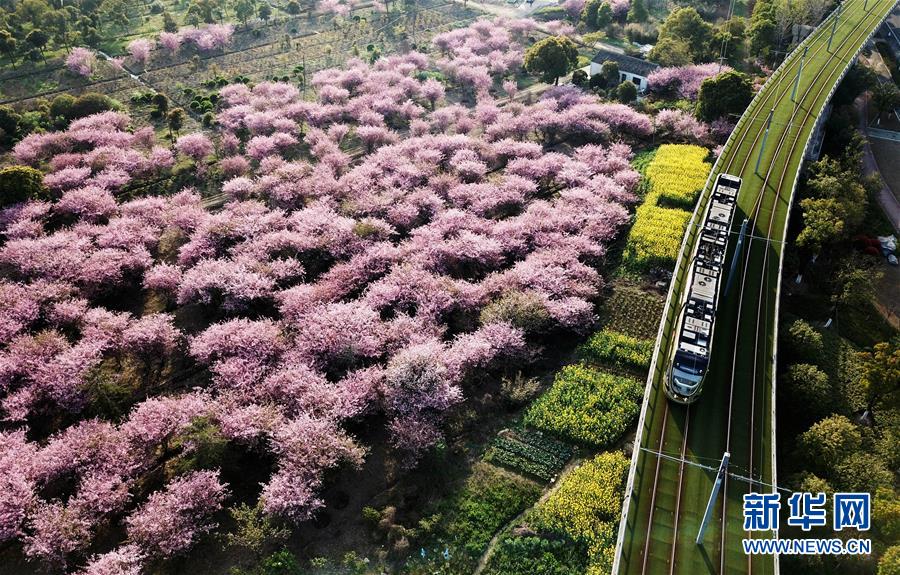 （壯闊東方潮 奮進新時代&mdash;&mdash;慶祝改革開放40年）（5）美麗中華大地書寫綠色傳奇