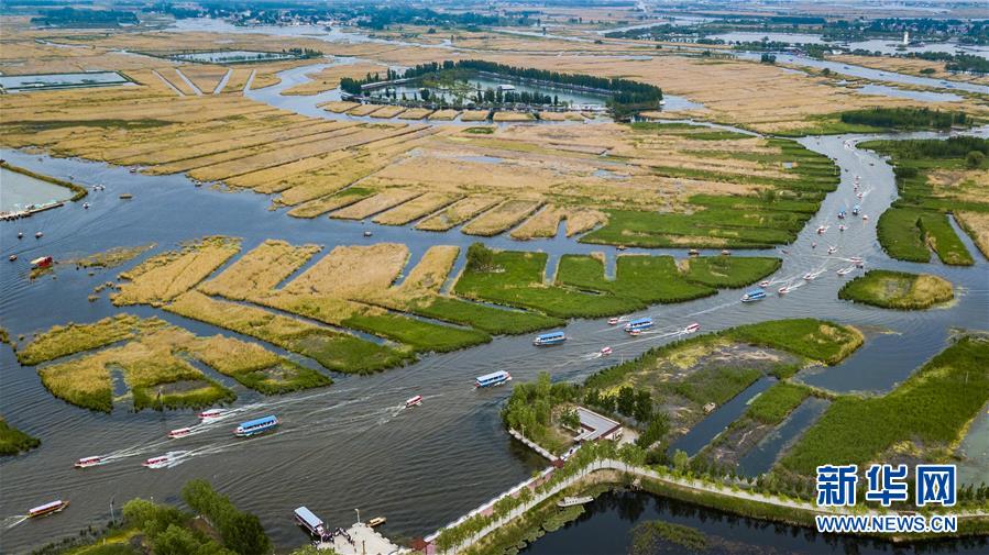 （壯闊東方潮 奮進新時代&mdash;&mdash;慶祝改革開放40年）（11）美麗中華大地書寫綠色傳奇