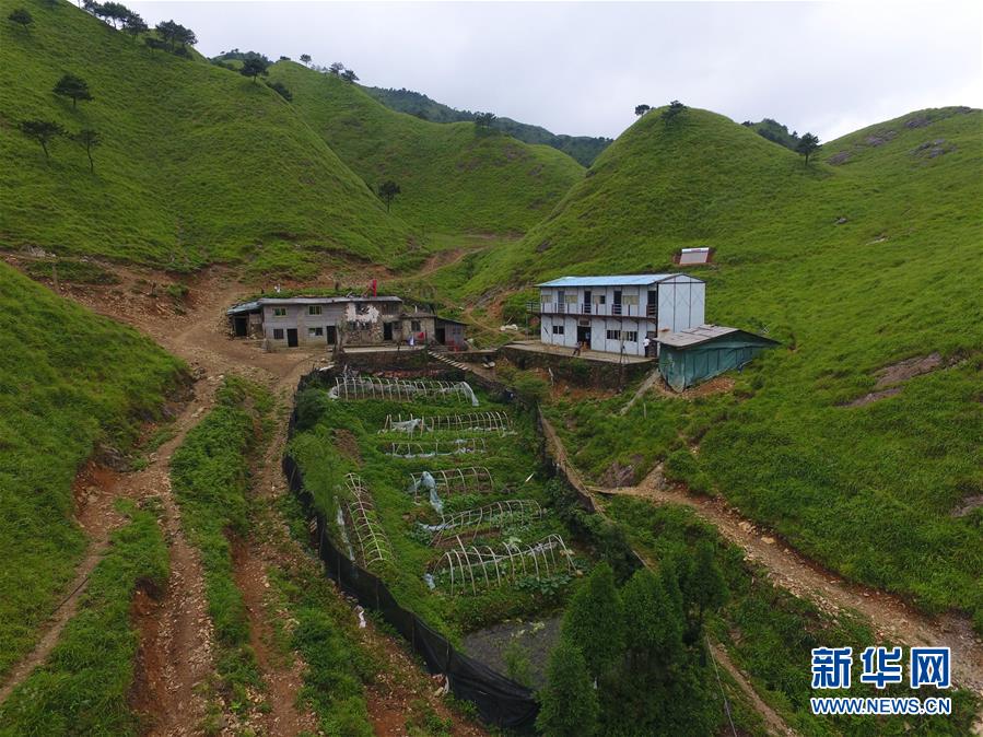 （新華全媒頭條&middot;圖文互動(dòng)）（3）一個(gè)人，一座山&mdash;&mdash;劉真茂的生命守望
