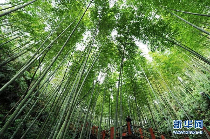 （新華全媒頭條&middot;圖文互動）（5）山鄉巨變&mdash;&mdash;來自貴州扶貧一線的報告