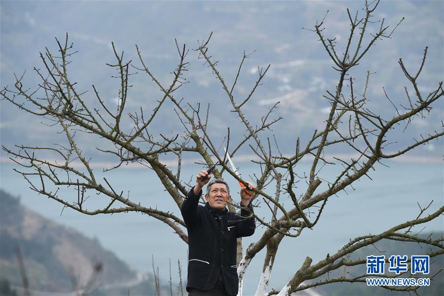 （兩會前夕看落實&middot;圖文互動）（6）春風(fēng)涌動兩江潮&mdash;&mdash;重慶落實習(xí)近平總書記全國兩會重要講話精神紀(jì)實