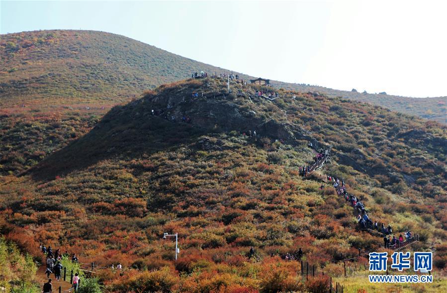 （城市綠道建設(shè)&middot;圖文互動）（2）青城登山步道：踏遍青山享美景 生態(tài)綠道助脫貧