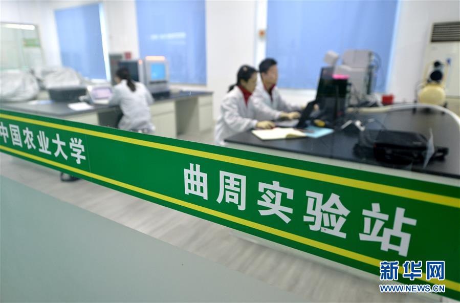 （愛國情 奮斗者&middot;圖文互動）（3） &ldquo;解民生之多艱，育天下之英才&rdquo;&mdash;&mdash;中國農大師生扎根田野書寫奉獻之歌