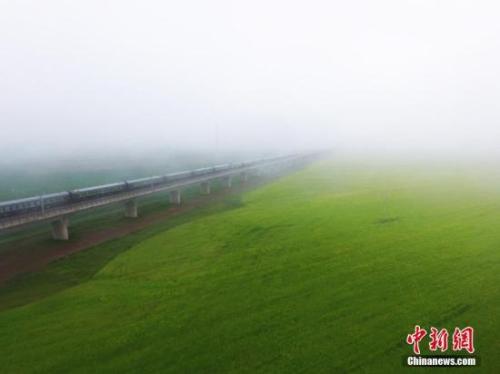 資料圖：動車組穿越雨霧中的油菜花海宛若穿越時空。 楊艷敏 攝