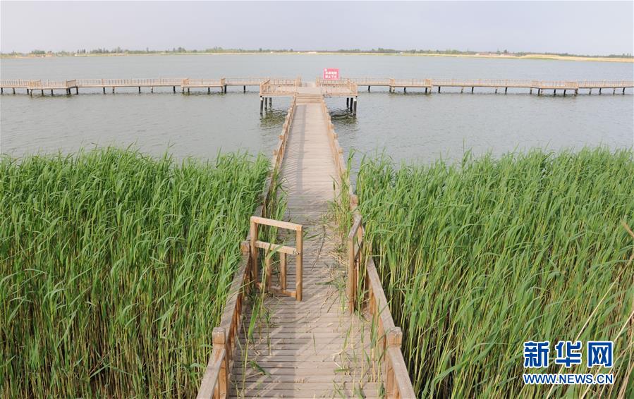 （北京世園會(huì)&middot;圖文互動(dòng)）（5）&ldquo;百湖之鄉(xiāng)&rdquo;磴口縣再現(xiàn)生態(tài)田園風(fēng)光