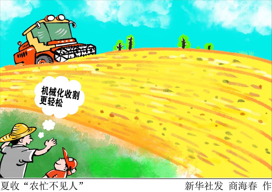 （圖表&middot;漫畫）[新華視點]夏收&ldquo;農(nóng)忙不見人&rdquo;