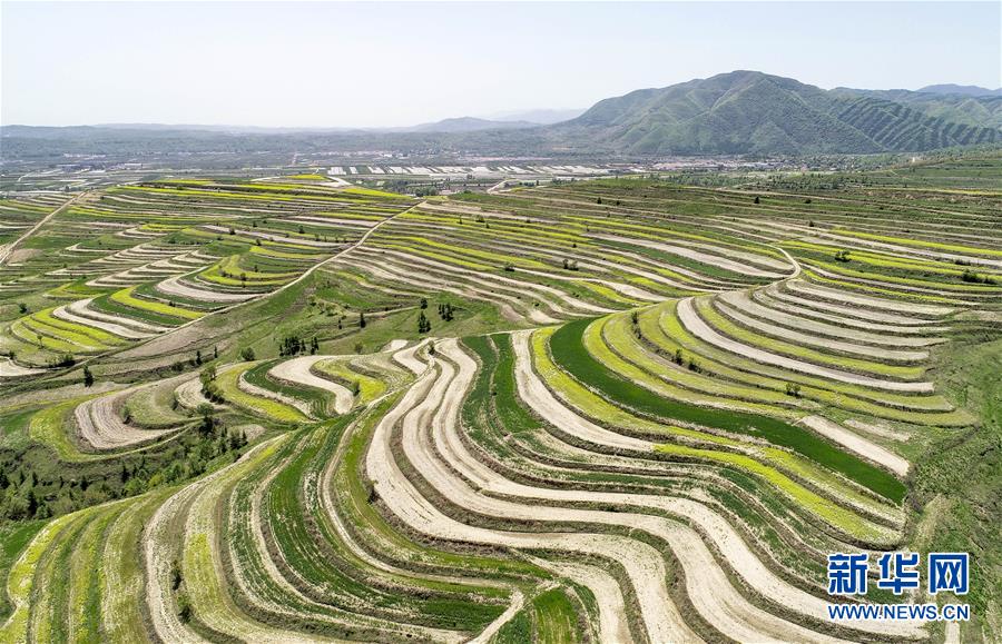 （新華全媒頭條&middot;壯麗70年&middot;奮斗新時代&middot;圖文互動）（6）中國減貧的西海固報告