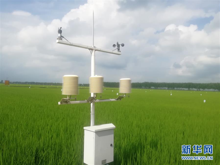 （在習近平新時代中國特色社會主義思想指引下&mdash;&mdash;新時代新作為新篇章&middot;圖文互動）（1）從&ldquo;靠天吃飯&rdquo;到&ldquo;看天管理&rdquo;&mdash;&mdash;黑龍江創新氣象為農服務體系觀察