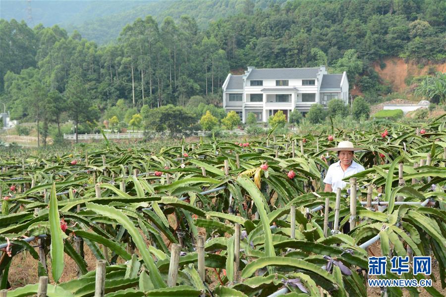 （在習(xí)近平新時代中國特色社會主義思想指引下&mdash;&mdash;新時代新作為新篇章&middot;總書記關(guān)心的百姓身邊事&middot;圖文互動）（6）大污染變身&ldquo;大寶藏&rdquo;：治理畜禽糞污，他們這樣干！