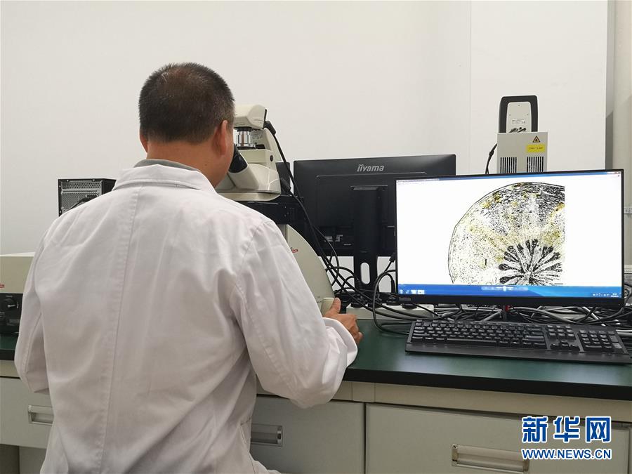 （新華調查&middot;新中國考古重大發現&middot;圖文互動）（5）?；韬睿翰粌H僅是&ldquo;黃金大墓&rdquo;