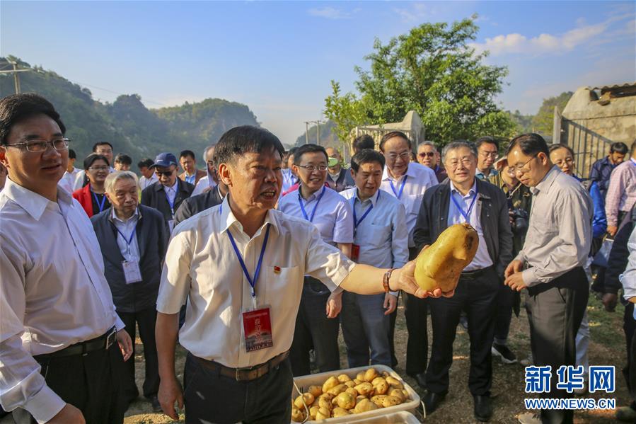 （新華全媒頭條&middot;時代先鋒&middot;圖文互動）（5）&ldquo;要把論文寫在大地上&rdquo;&mdash;&mdash;記&ldquo;農民院士&rdquo;朱有勇
