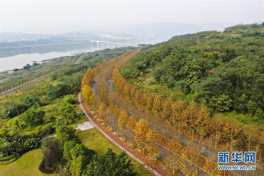 （四中全會精神在基層&middot;圖文互動）（4）一江碧水串起綠色島鏈&mdash;&mdash;重慶江心島&ldquo;生態留白&rdquo;調查