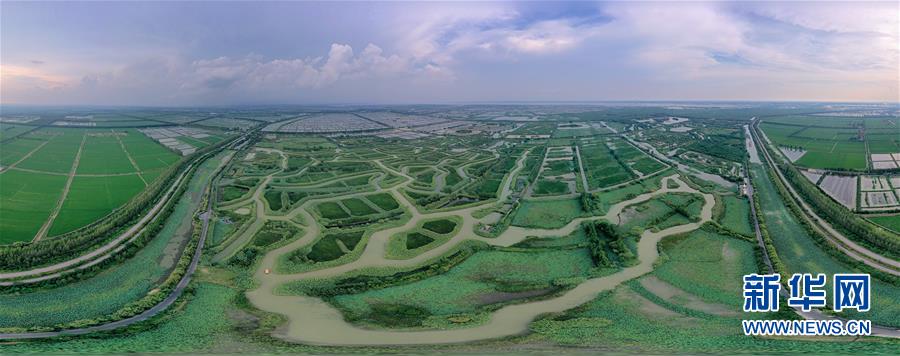 （新華全媒頭條&middot;圖文互動）（11）大湖見證&mdash;&mdash;長三角三大淡水湖綠色發展之路