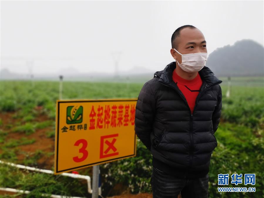 （聚焦疫情防控&middot;圖文互動）（2）&ldquo;得知要送武漢 凌晨出來摘菜&rdquo;&mdash;&mdash;中國&ldquo;南菜園&rdquo;廣西全力抗疫保供應