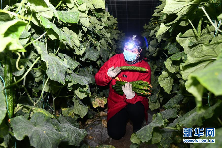（在習(xí)近平新時(shí)代中國(guó)特色社會(huì)主義思想指引下&mdash;&mdash;新時(shí)代新作為新篇章&middot;習(xí)近平總書記關(guān)切事&middot;圖文互動(dòng)）（3）&ldquo;菜籃子&rdquo;里的力量&mdash;&mdash;全國(guó)各地努力做好保障和改善民生工作在行動(dòng)