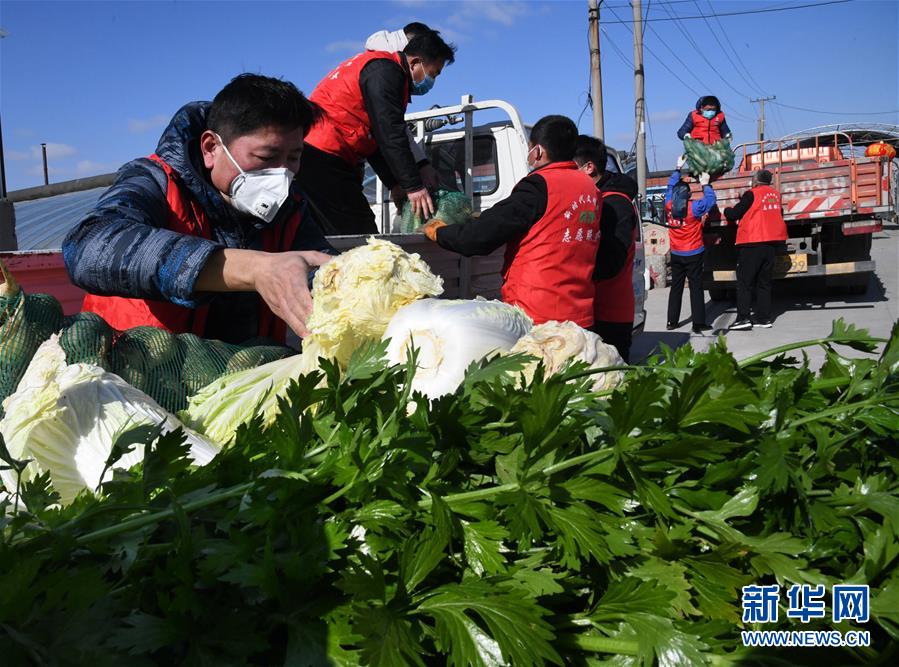 （在習(xí)近平新時(shí)代中國(guó)特色社會(huì)主義思想指引下&mdash;&mdash;新時(shí)代新作為新篇章&middot;習(xí)近平總書記關(guān)切事&middot;圖文互動(dòng)）（2）&ldquo;菜籃子&rdquo;里的力量&mdash;&mdash;全國(guó)各地努力做好保障和改善民生工作在行動(dòng)