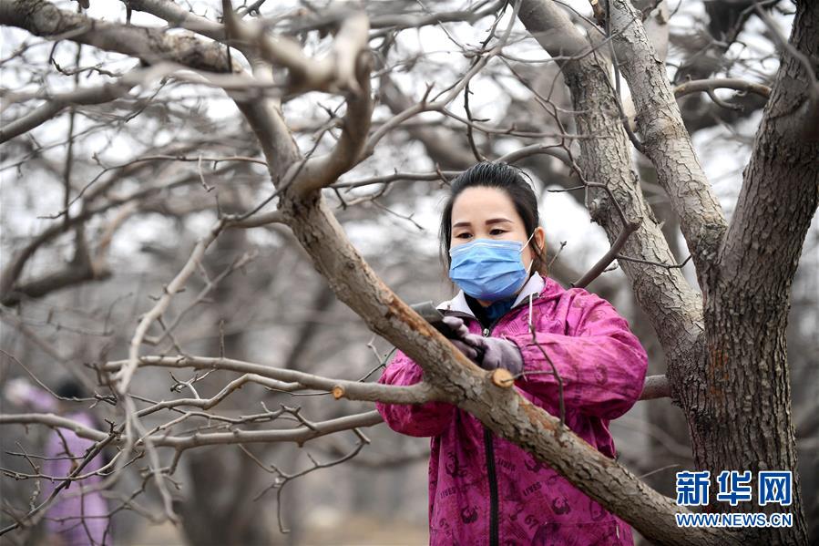 （聚焦疫情防控&middot;圖文互動）（2）農民工返城：幾多憧憬幾許等待&mdash;&mdash;走進疫情下的河北勞務輸出專業村