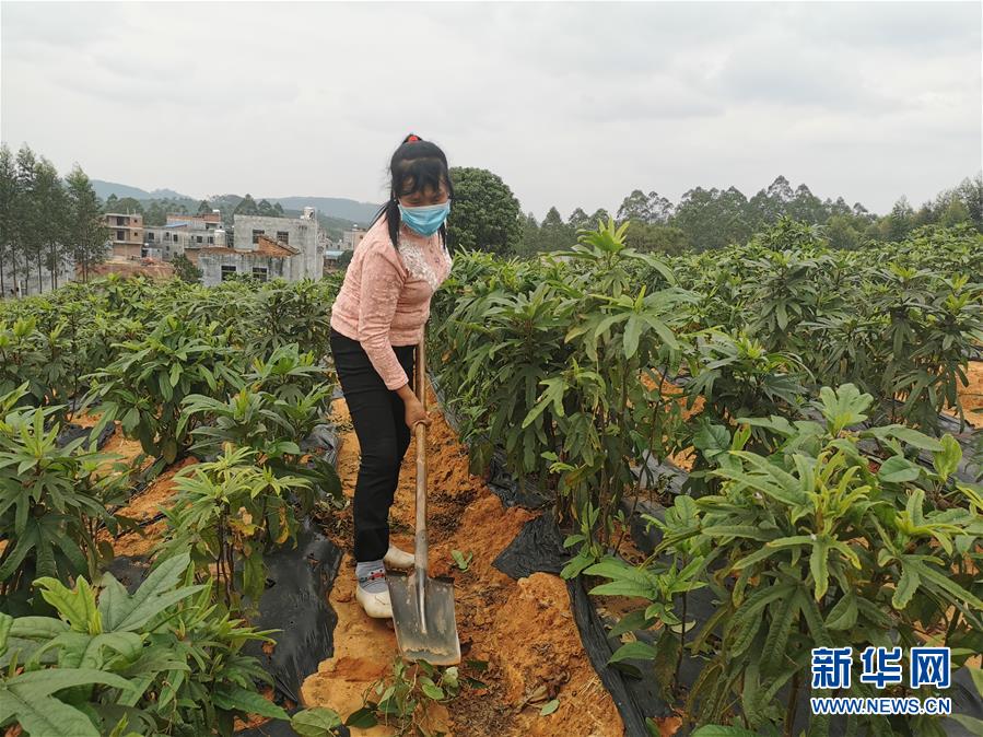 （圖文互動）（4）與疫情抗爭 與春光同行&mdash;&mdash;廣西農村春耕備耕一線觀察
