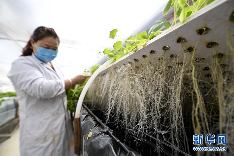 （新華全媒頭條&middot;圖文互動）（1）春色最濃在田間&mdash;&mdash;來自全國春耕備耕的現場觀察
