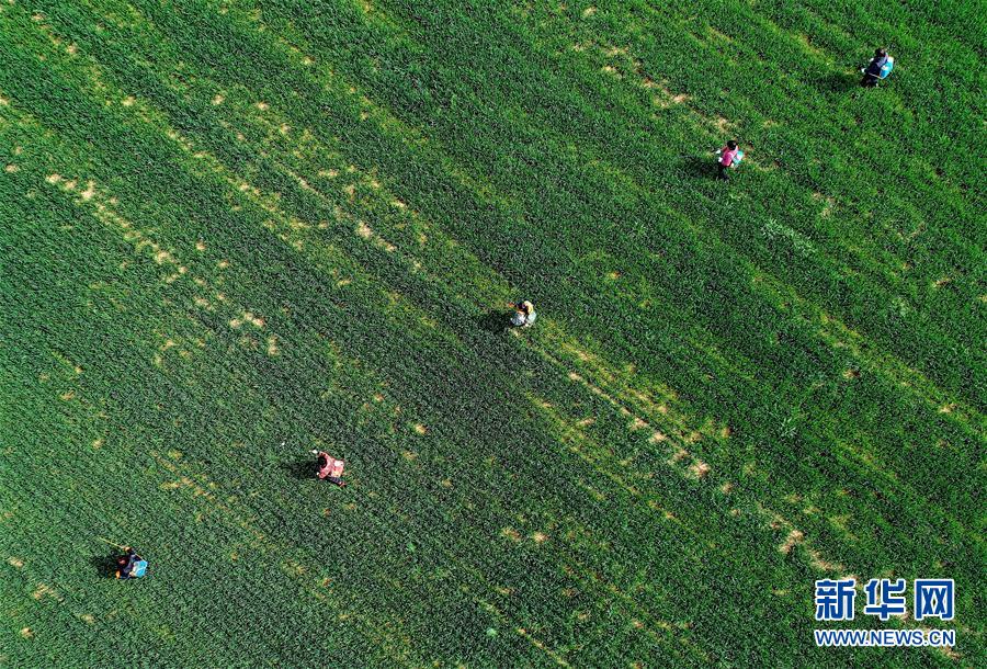 （新華全媒頭條&middot;圖文互動）（5）春天，匯聚復蘇的力量&mdash;&mdash;寫在2020年首季中國經濟收官之際