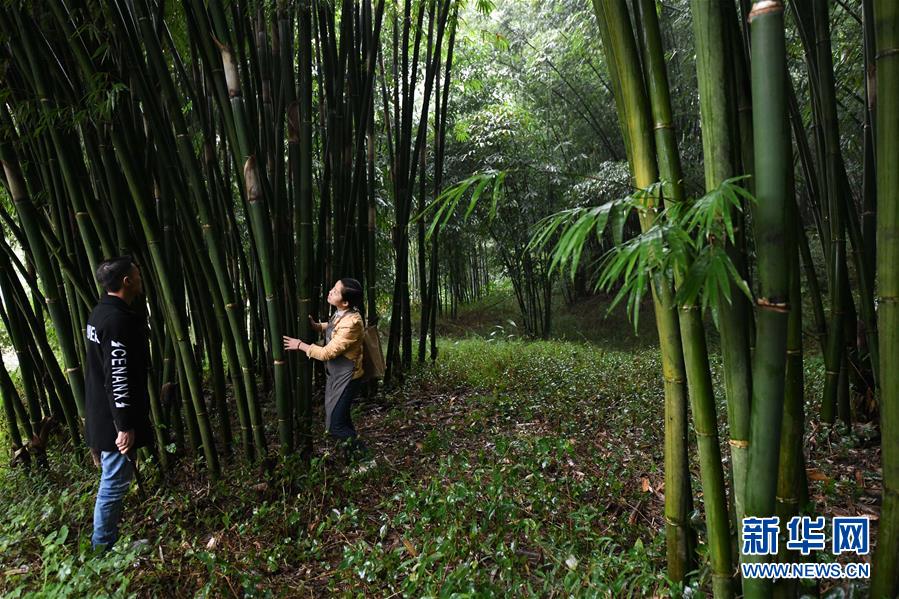 （代表委員履職&middot;圖文互動）（2）&ldquo;90后&rdquo;非遺傳承人楊昌芹：讓傳統文化為鄉村振興注入&ldquo;靈魂&rdquo;
