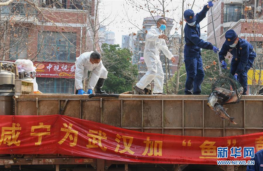 （新華全媒頭條&middot;圖文互動）（12）從人民中汲取磅礴力量&mdash;&mdash;習近平總書記同出席2020年全國兩會人大代表、政協委員共商國是紀實