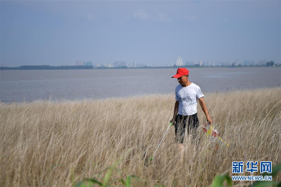（新華全媒頭條&middot;圖文互動）（7）大湖新歌&mdash;&mdash;我國兩大淡水湖全面生態修復進行時