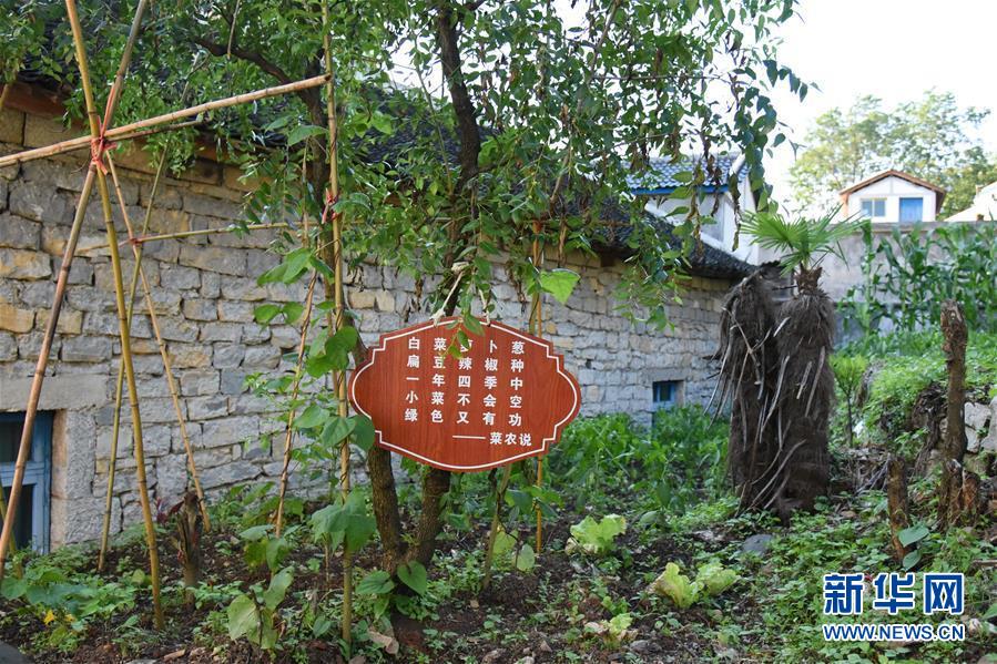 （鄉村振興&middot;圖文互動）（6）海壩成&ldquo;畫&rdquo;