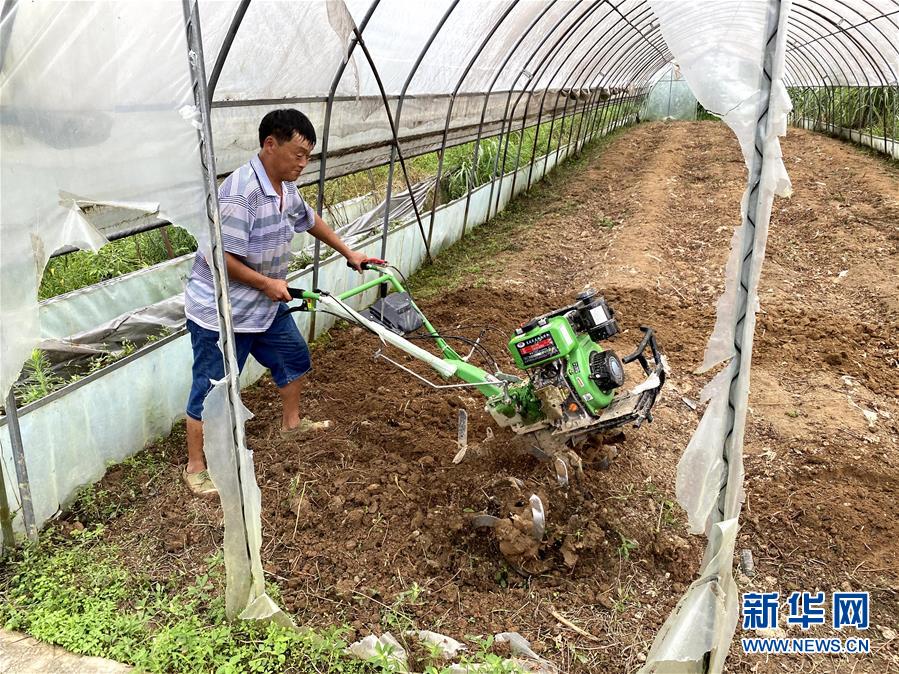 （防汛抗洪&middot;圖文互動）（3）修路通水忙重建 補種搶收復(fù)生產(chǎn)&mdash;&mdash;湘西山洪后恢復(fù)生產(chǎn)生活見聞