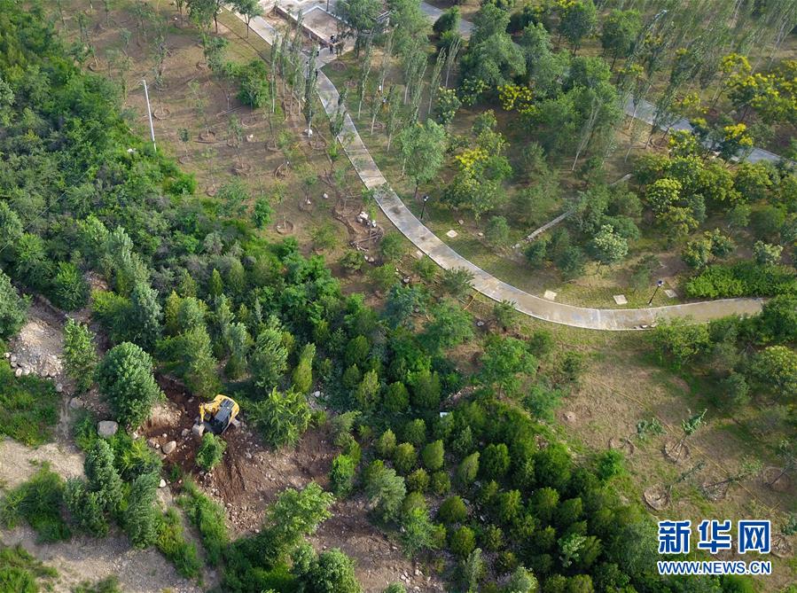 （新華全媒頭條&middot;圖文互動）（15）扎實推進籌辦，不負青春韶華&mdash;&mdash;北京冬奧會籌辦備戰克服疫情影響平穩推進