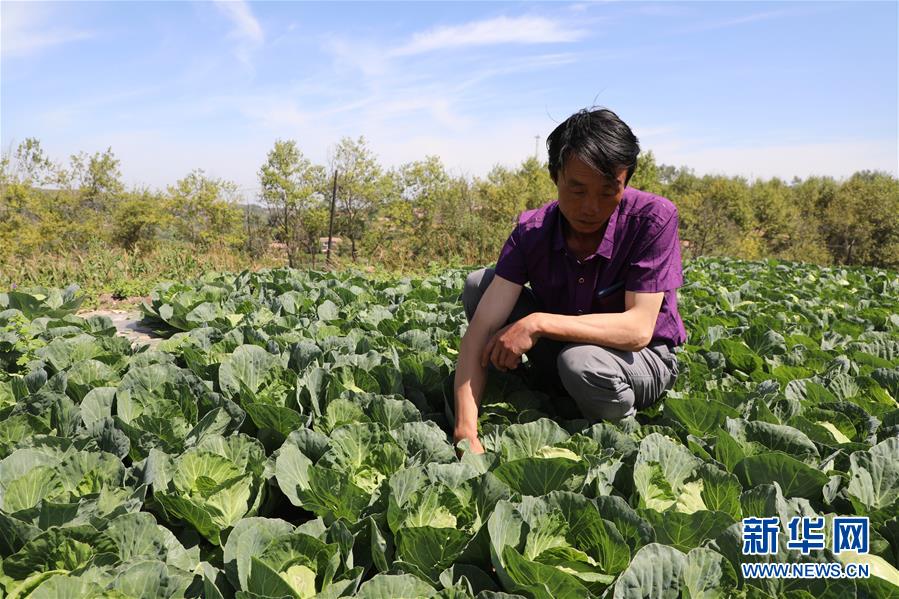 （走向我們的小康生活&middot;圖文互動）（5）&ldquo;荒涼&rdquo;土地掘金記&mdash;&mdash;甘肅旱作農業發展&ldquo;變奏曲&rdquo;