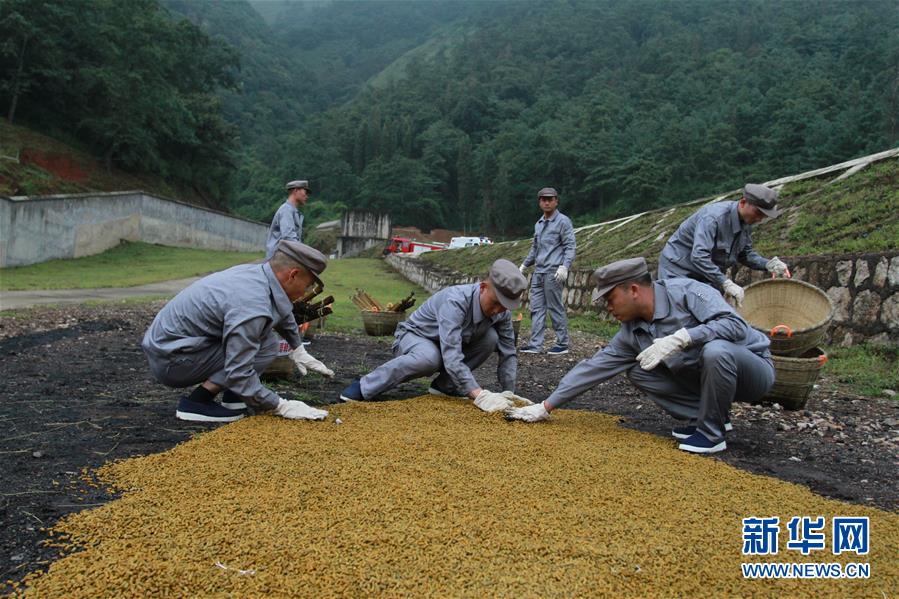 （在習近平強軍思想指引下&middot;我們在戰位報告&middot;圖文互動）（3）牢記統帥囑托  做刀尖上的舞者&mdash;&mdash;記聯勤保障部隊某報廢武器彈藥銷毀站參謀長陳雪禮