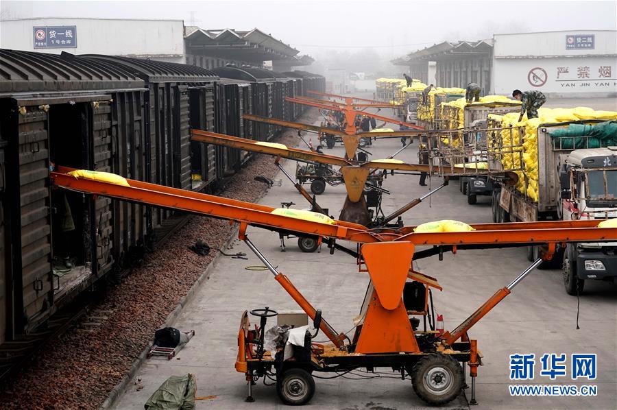 （在習近平新時代中國特色社會主義思想指引下&mdash;&mdash;新時代新作為新篇章&middot;習近平總書記關切事&middot;圖文互動）（5）食為政首&mdash;&mdash;穩(wěn)住農業(yè)基本盤增添發(fā)展底氣