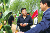 為民務實清廉的好干部