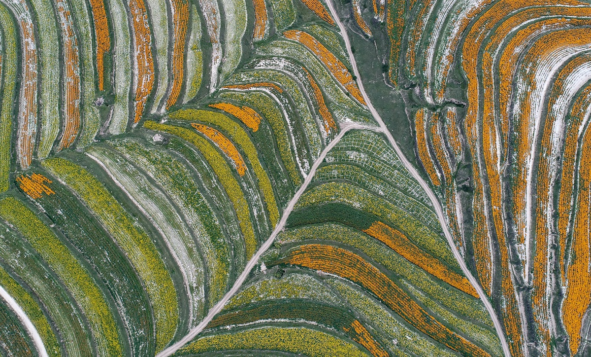 生態(tài)中國(guó)&middot;塞上江南沙水依